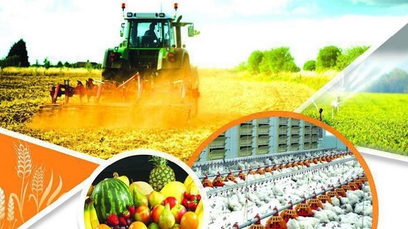 از «نگین توران تا «کنترل هوشمند» در شبکه 4/ پخش 7 مستند داخلی با نگاهی به رونق تولید از شبکه 4