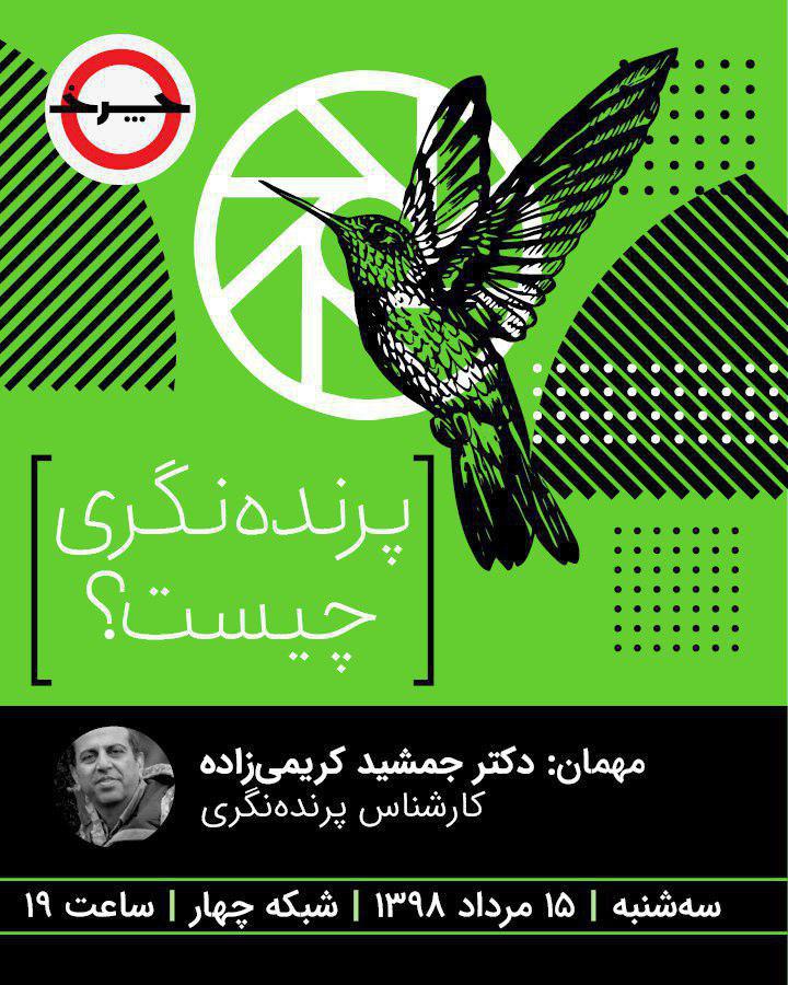 پرواز پرنده‌ها در منطقه «چرخ» / پرنده‌نگری در «چرخ»