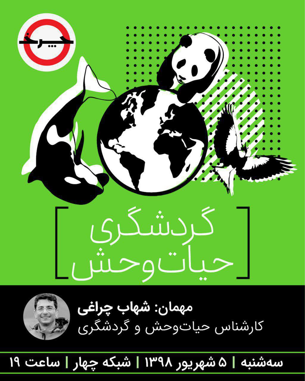 گردش «چرخ» در حیات‌وحش ایران