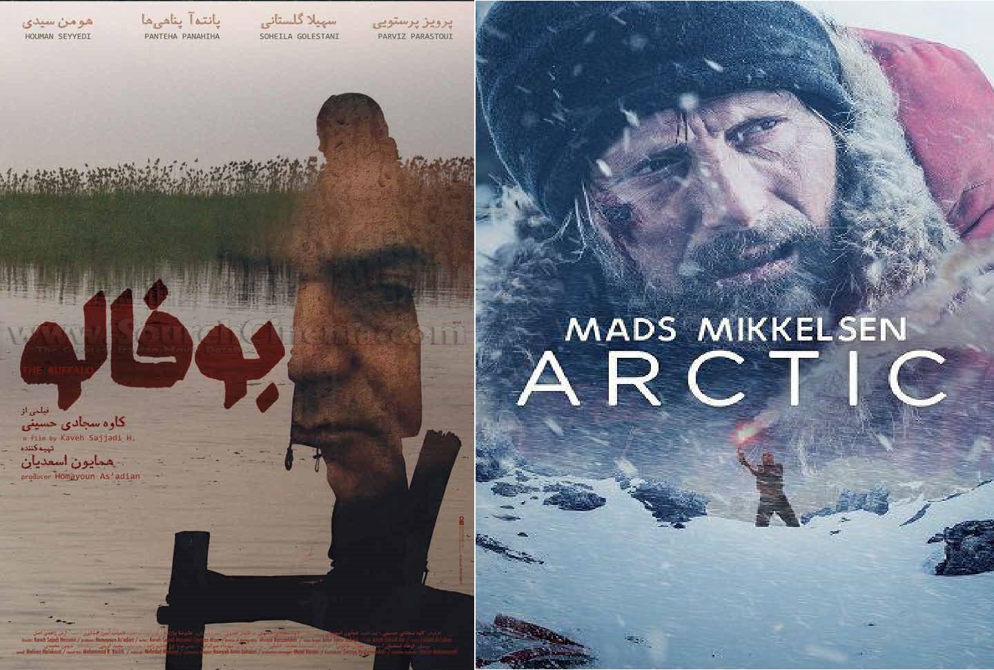 آخر هفته شبکه چهار با دو فیلم در ژانر حادثه ای/پرویز پرستویی با «بوفالو» در شبکه چهار