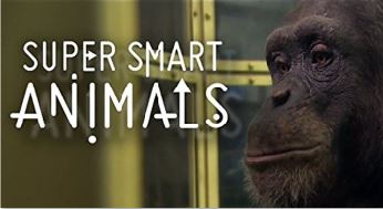میزان هوش حیوانات در مستند «حیوانات باهوش»