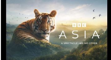 دیوید اتنبرو با آسیا به شبکه چهار می‌آید.