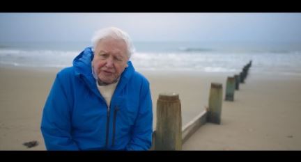 «اقیانوس» با دیوید اتنبرو در قاب شبکه چهار