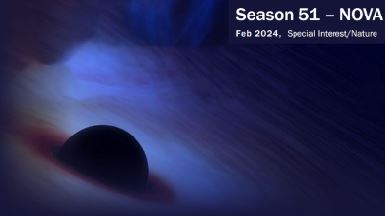 فصل ۵۱ مجموعه مستند نوا از شبکه چهار پخش می شود.