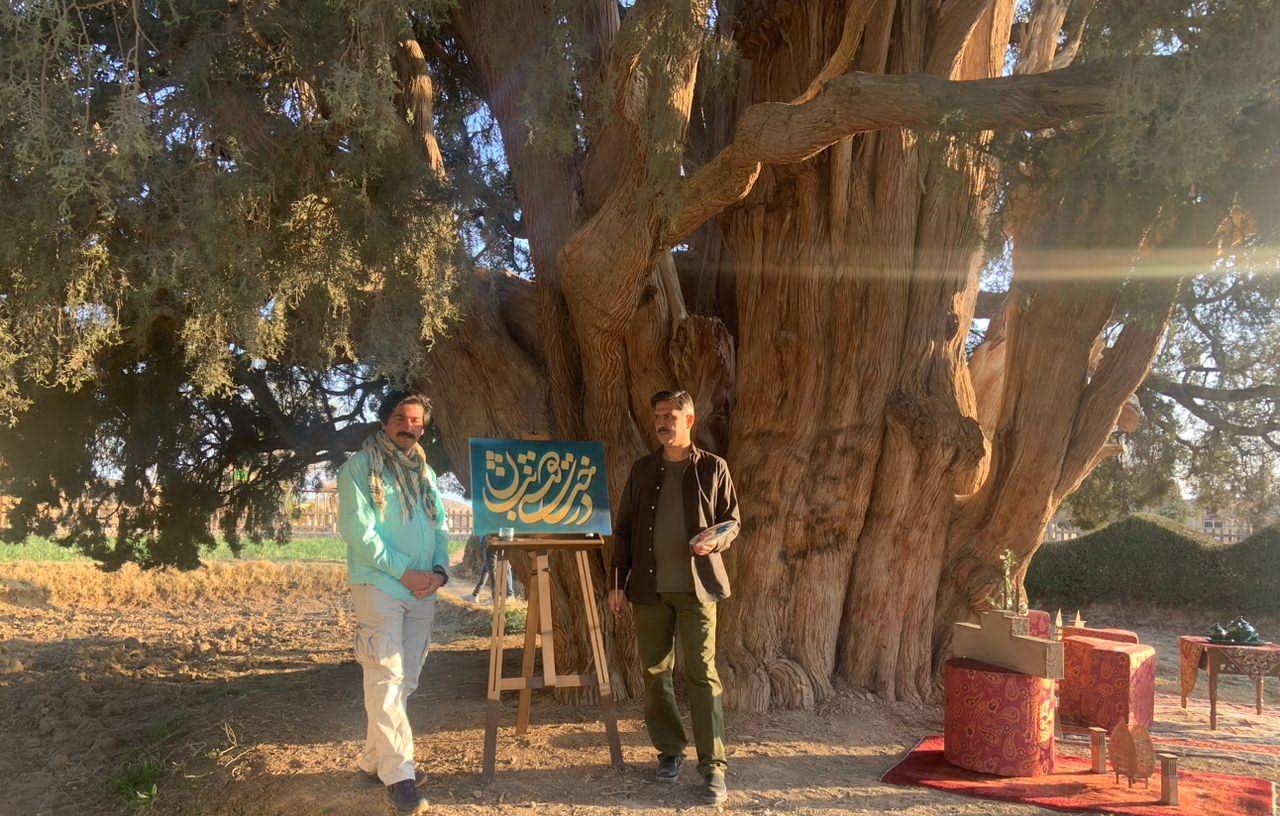 پرهام دیباج: «دار دو» درخت‌کاری را به صورت ریشه‌ای واکاوی می‌کند