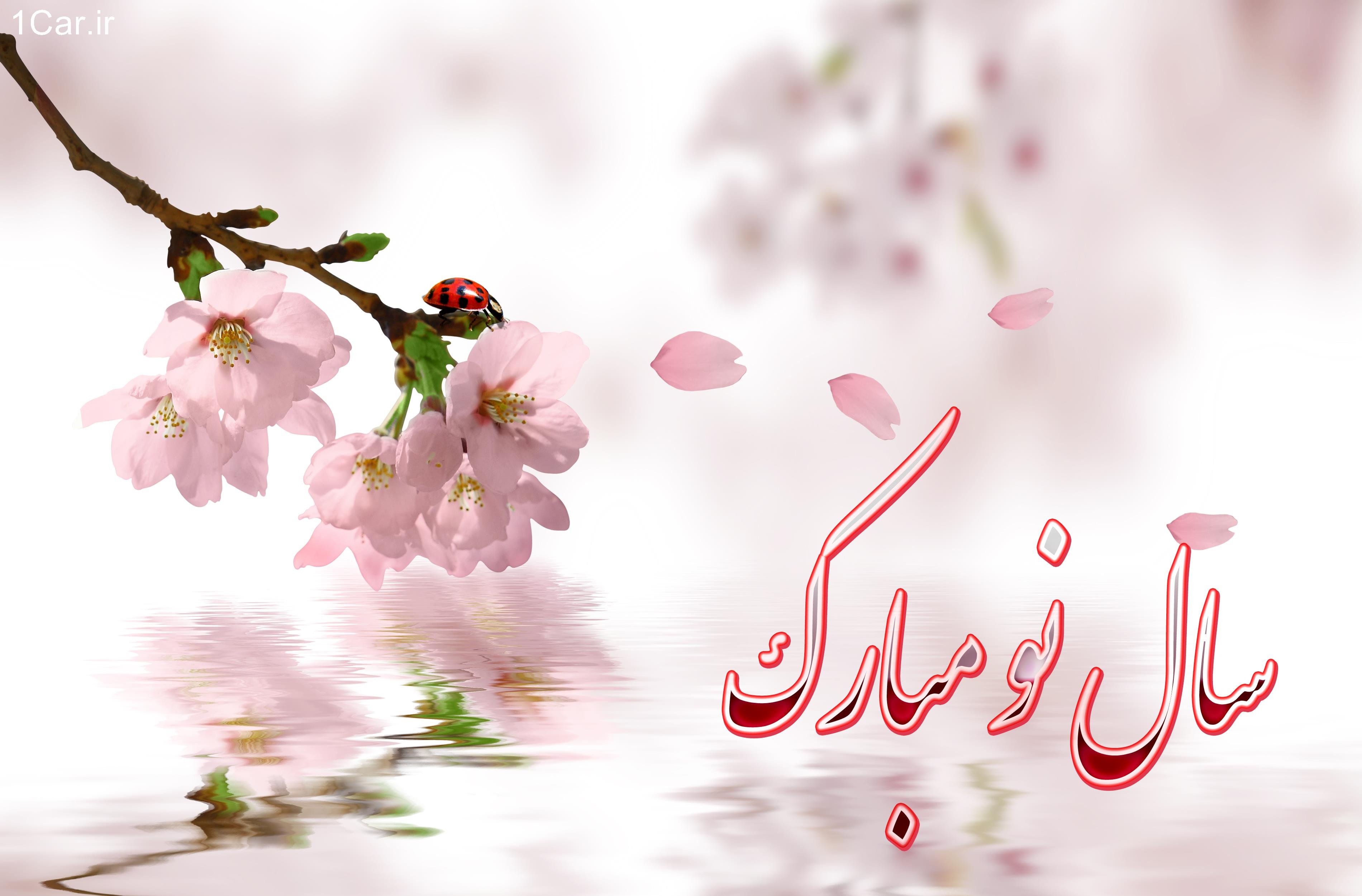نماهنگ بهار ماندگار - به مناسبت عید نوروز