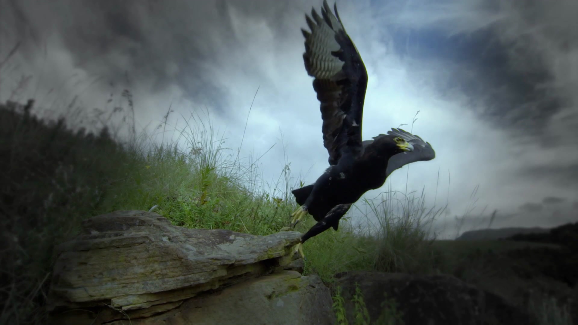 پارک های ملی آفریقا