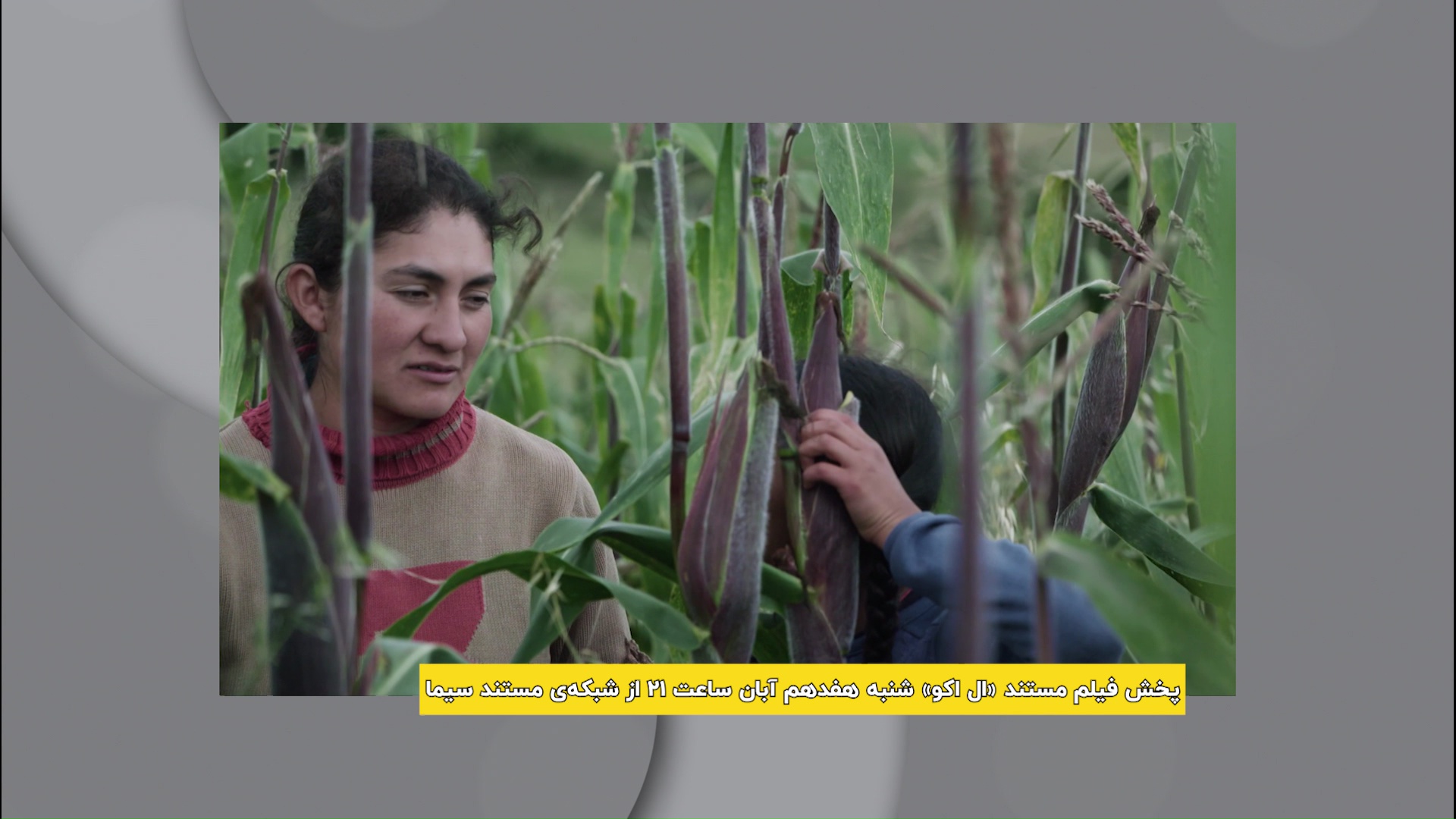 پخش مستند برنده‌ی برلین «ال اکو» از شبکه مستند