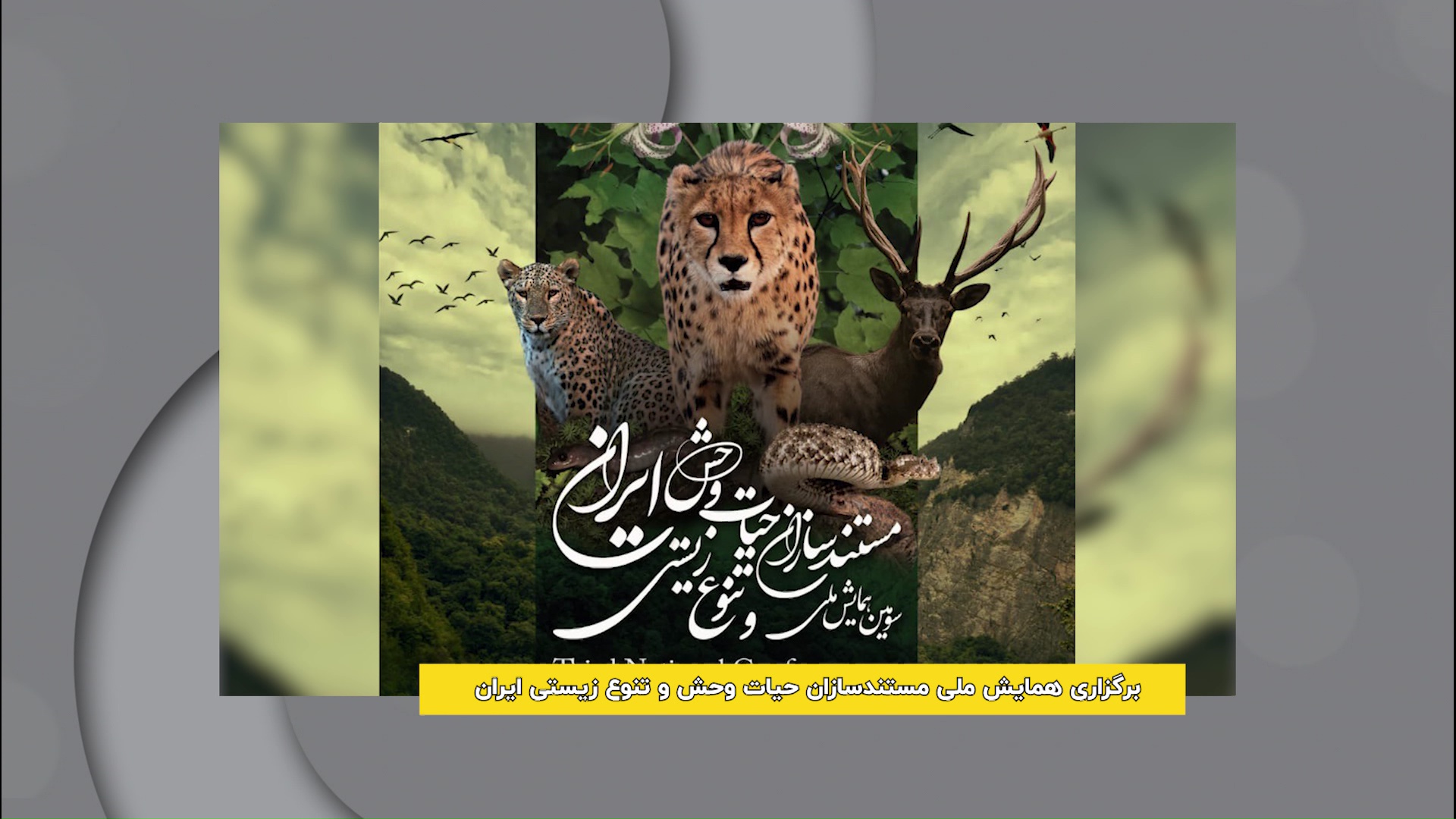 گردهمایی مستندسازان حیات‌وحش ایران در مازندران